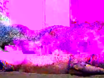 avoupourcesoir — 2025-11-01 01:24 avoupourcesoir — 2025-11-01 01:24